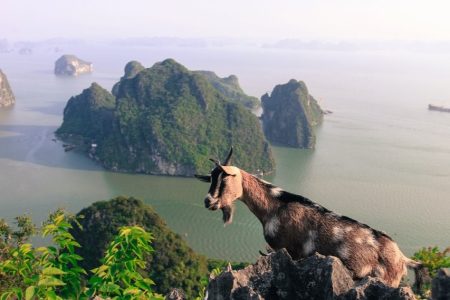 Scopri gli incanti di Hanoi e la crociera nella baia di Halong: tour di 6 giorni in Vietnam