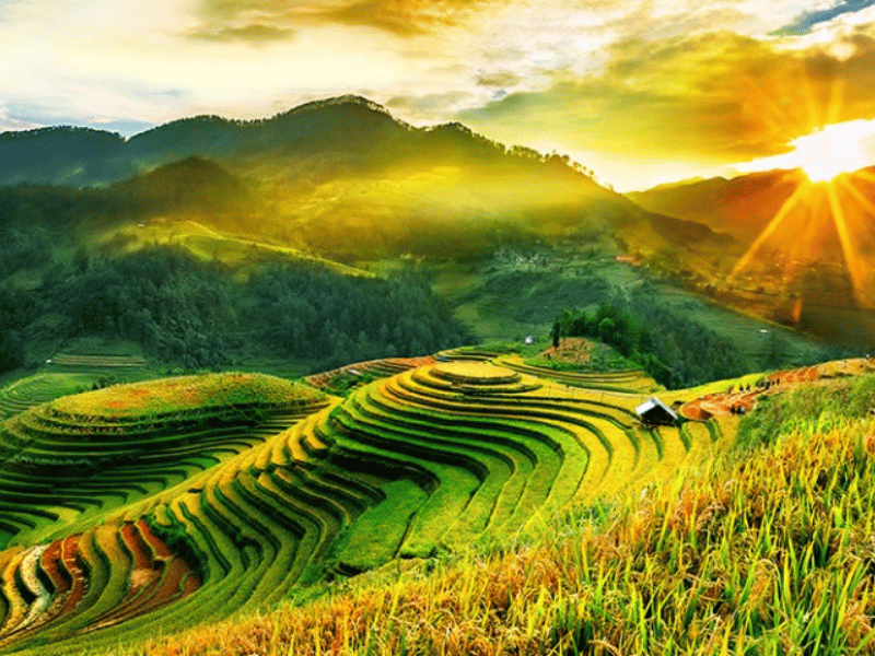 mu cang chai