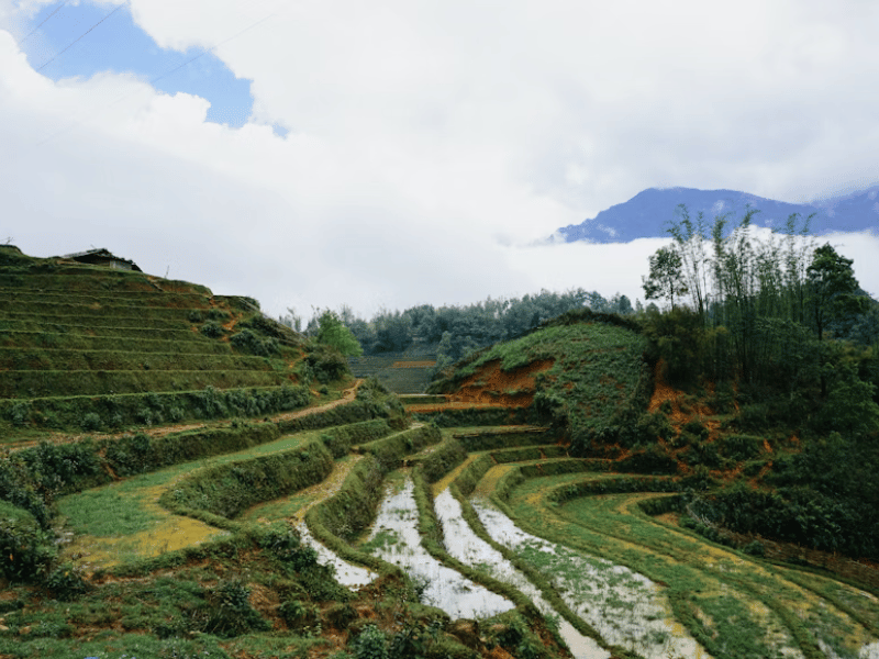 Alleviare lo Stress in Vietnam