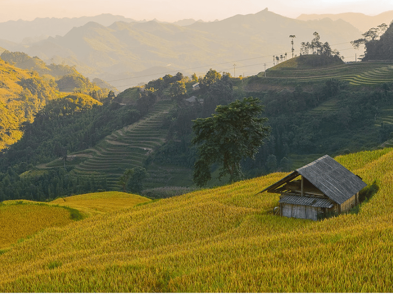 Tour Di Bac Ha Trekking – Scopri Gli Altopiani Bianchi