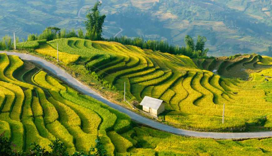 Esperienza Per Chi Visita Mu Cang Chai Per La Prima Volta