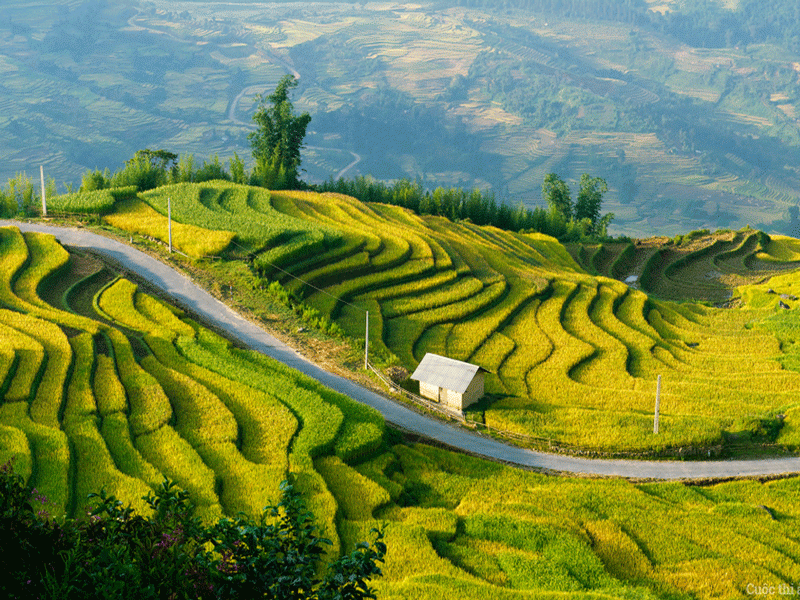 Esperienza Per Chi Visita Mu Cang Chai Per La Prima Volta