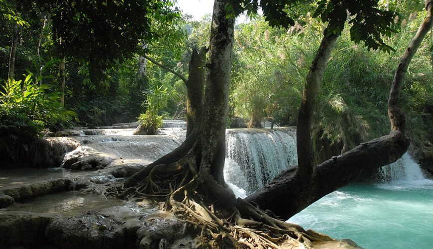 Viaggio di Luang Prabang – Visita Kuang Si Parco delle Farfalle