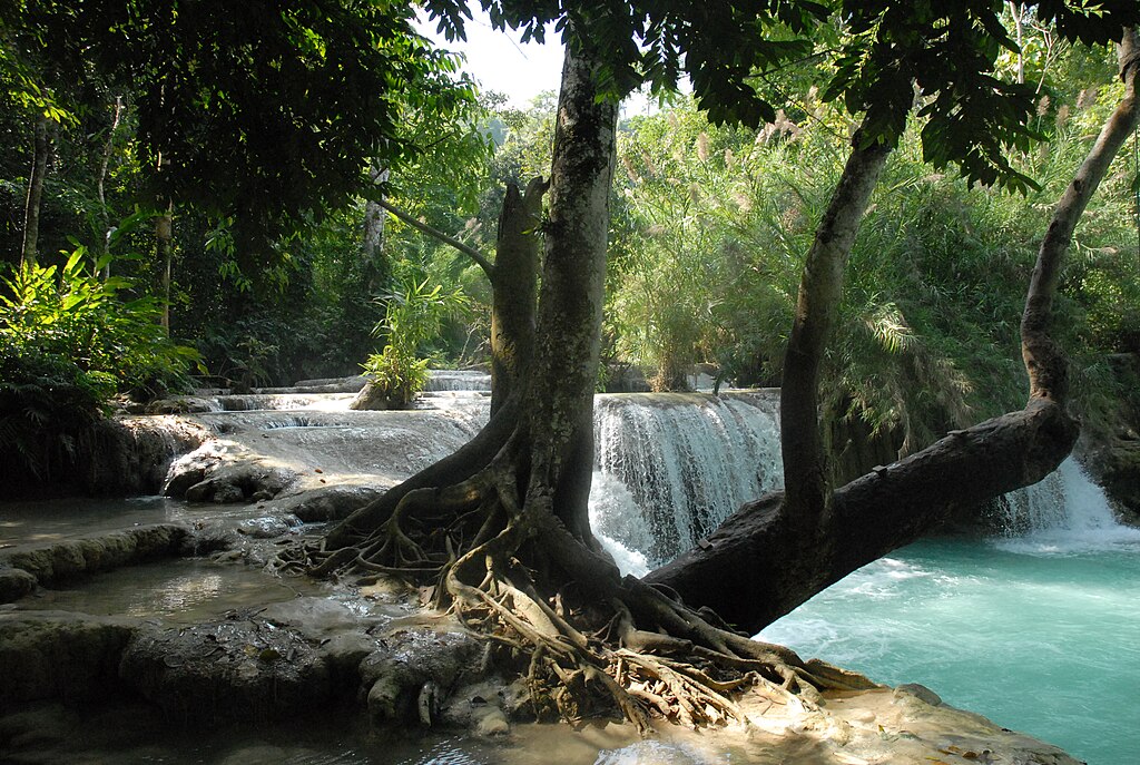 Viaggio di Luang Prabang – Visita Kuang Si Parco delle Farfalle