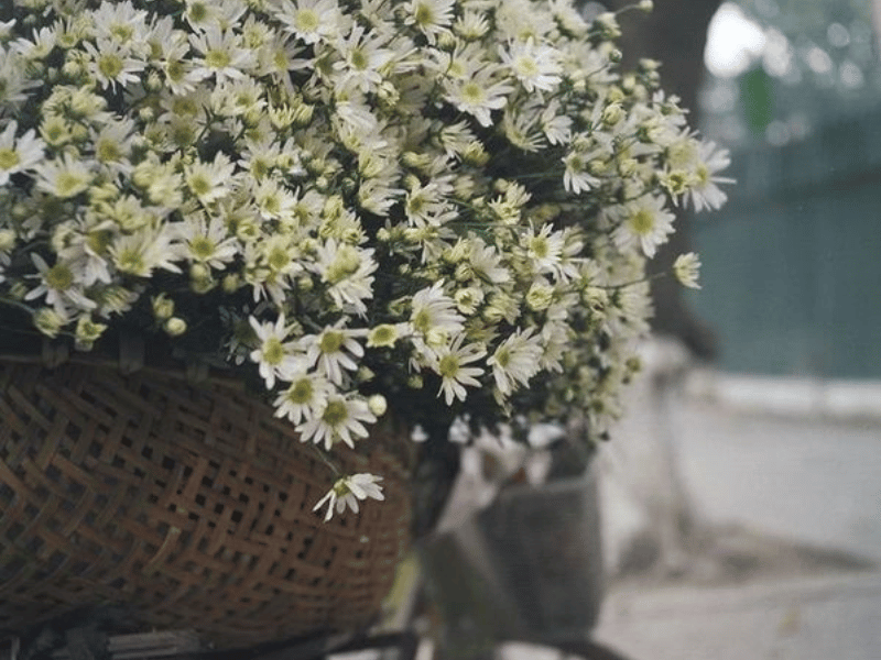 tour città di hanoi un giorno