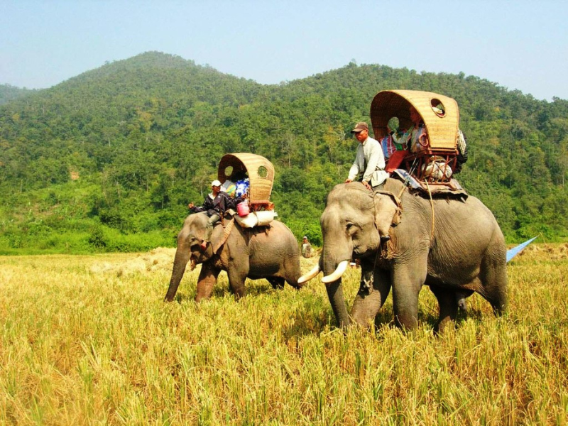 Itinerario Di Tour Vietnam, Cambogia E Laos